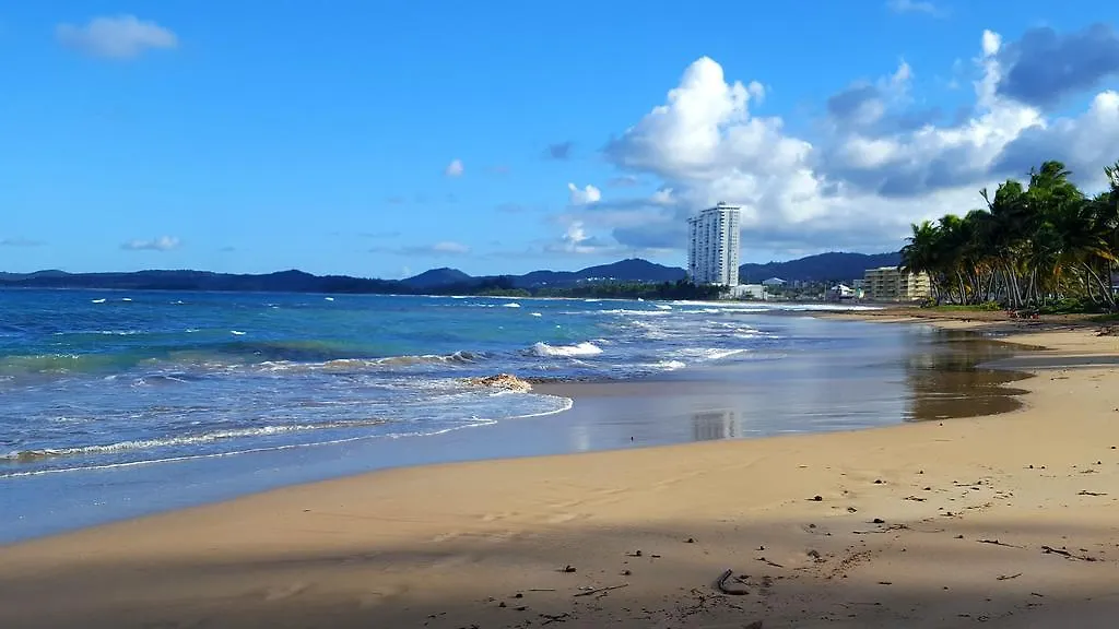 Apartment Dolphin Tower Luquillo Puerto Rico